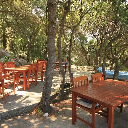 Double Lucica 990a 2*