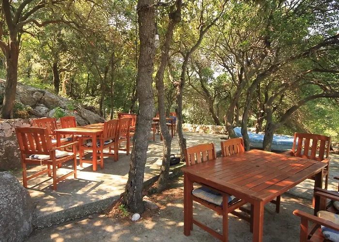 Double Lucica 990a 2*