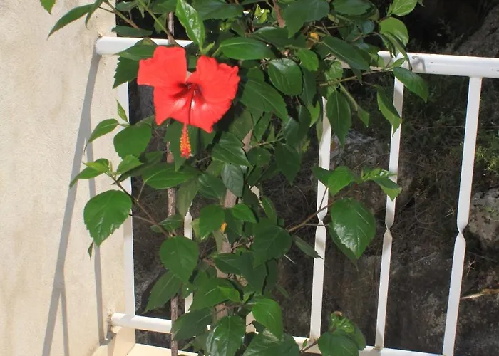 Double Lucica 990a Maison d'hôtes Lastovo